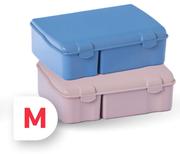2 Division Lunch Box