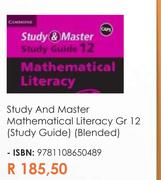 Study And Master Mathematical Literacy Gr 12 (Study Guide) (Blended)