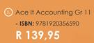Ace It Accounting Gr 11 