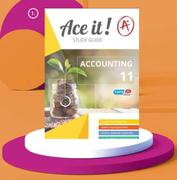 Ace It Accounting Gr 11 