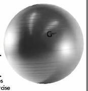 Trojan Burst Resistant Body Ball 65cm