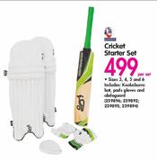 Cricket Starter Set