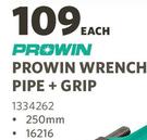 Prowin Wrench Pipe + Grip 250mm-Each