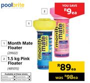 Pool Brite Month Mate Floater-Each