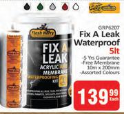 Flash Harry Fix A Leak Waterproof-5L Each