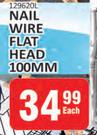 Nail Wire Flat Head 100mm
