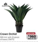Designhouse Crown Orchid 900mm