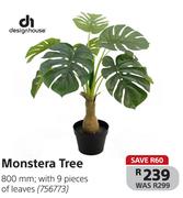 Designhouse Monstera Tree 800mm