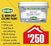 Evolve 5Ltr Non Drip Ceiling Paint