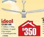 Ideal Ceiling Fan