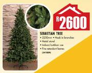 Sebastian Tree