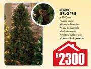 Nordic Spruce Tree