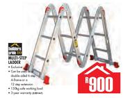 Builders Pride Multi-Step Ladder