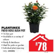 Plantimex Patio Rose Bush Pot
