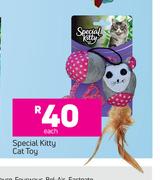 Special Kitty Cat Toy-Each