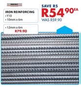 WireForce Iron Reinforcing Y10, 10mm x 6m-Each