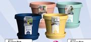 Super Pot Assorted Colours 25cm