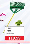 Lasher Leaf Rake Combination