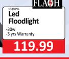 Flash LED Floodlight 30W