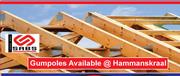 Timber 38 x 38-Per M