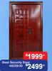 Steel Security Door 46228/30