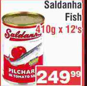 Saldanha Fish-410g x 12's