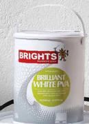 Brights Acrylic PVA-5l