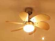 6 Blade Ceiling Fan
