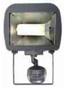 Security Light - (300750,300748)