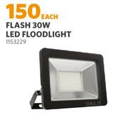 Flash 30W LED Floodlight-Each