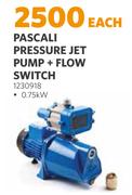 Pascali Pressure Jet Pump + Flow Switch 1230918-Each