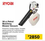 Ryobi 30cc Petrol Mulching Blower Vacuum