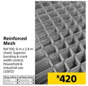 Reinforced Mesh