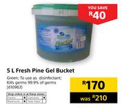 Fresh Pine Gel Bucket-5Ltr