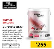 Fired Earth Pink To White-5Ltr