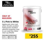 Fired Earth Pink To White-5Ltr
