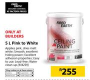 Fired Earth 5Ltr Pink To White