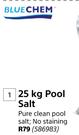 Bluechem 25 Kg Pool Salt
