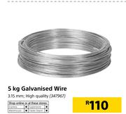 5Kg Galvanised Wire