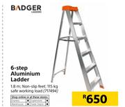 Badger 6 Step Aluminium Ladder-1.8m