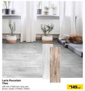 Larix Porcelain Tiles Grade 1 300mm X 1000mm-Per Sqm