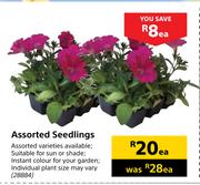 Assorted Seedlings-Each
