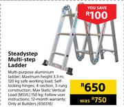 Steadystep Multi Step Ladder