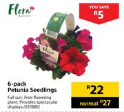 Flora 6 Pack Petunia Seedlings