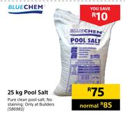 Bluechem Pool Salt-25Kg