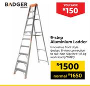 Badger 9 Step Aluminium Ladder