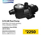 Blue Chem 0.75Kw Pool Pump