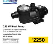 Blue Chem 0.75Kw Pool Pump