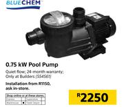 Blue Chem 0.75Kw Pool Pump