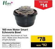 Flora 160mm Water Smart Echeveria Bowl